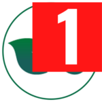 mitolyn-usa-en.pages.dev favicon
